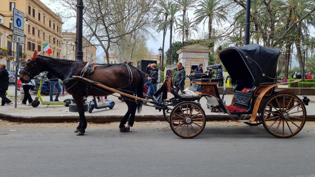 La Bedda Sicilia Lejlighed Palermo Eksteriør billede